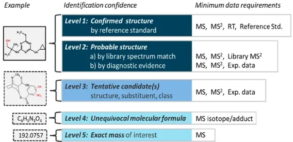 Novogene untargeted metabolomics annotation framework showing metabolite identification levels and data requirements